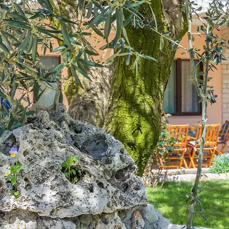Ideal For Families With Pets Pula